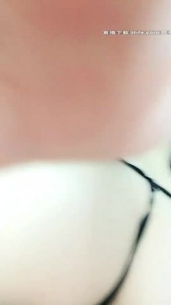 预览图5