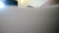 预览图4