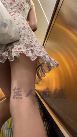 预览图12