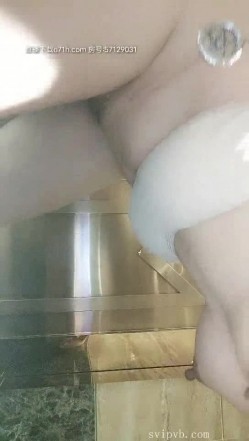 预览图4