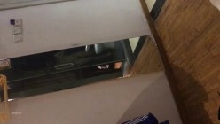 预览图5