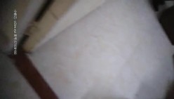 预览图6