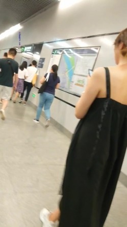 预览图1