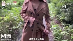预览图1