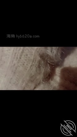 预览图9