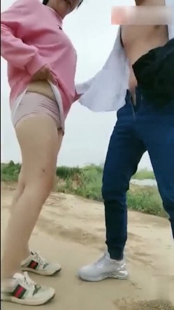 预览图1
