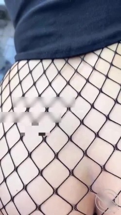 预览图6