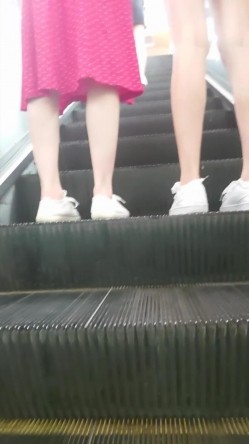 预览图7