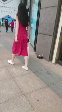 预览图12