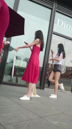预览图15