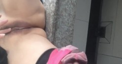 预览图1