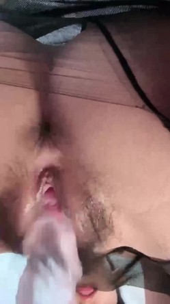 预览图5