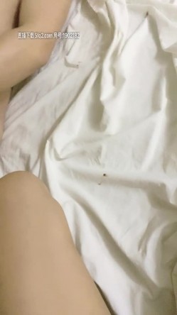 预览图4