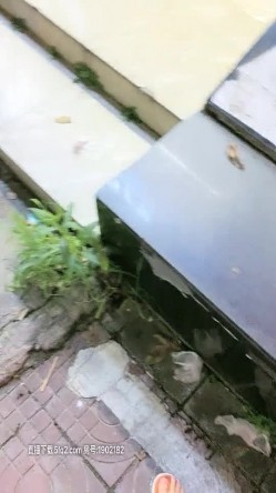 预览图5