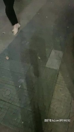 预览图7