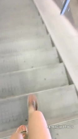 预览图8