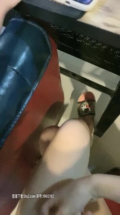 预览图11