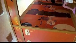 预览图9