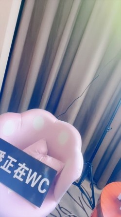 预览图13