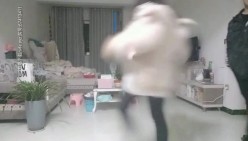 预览图8
