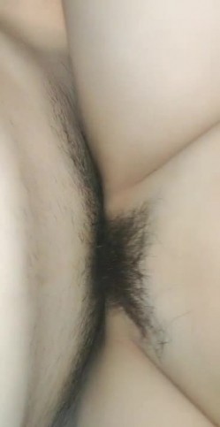 预览图8