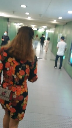 预览图4