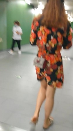 预览图5