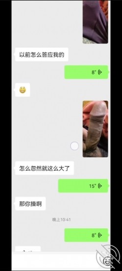 预览图5