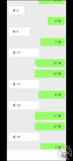预览图7