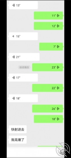 预览图11