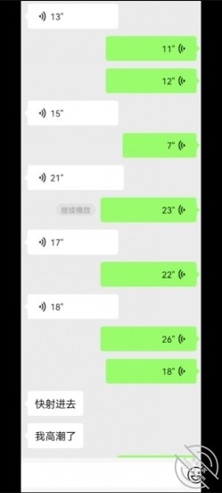 预览图12