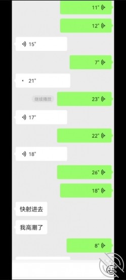 预览图13