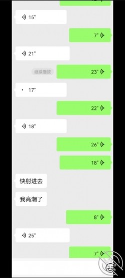 预览图14