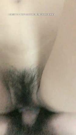 预览图6
