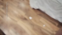 预览图12