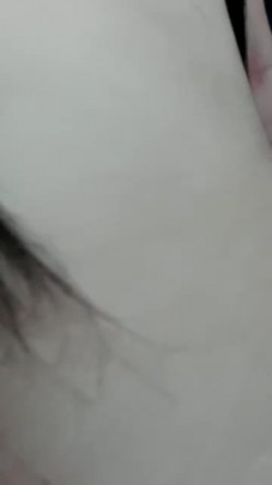 预览图7