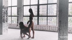 预览图2