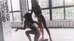 预览图12