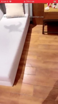 预览图14