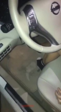 预览图1