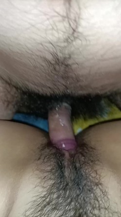 预览图3