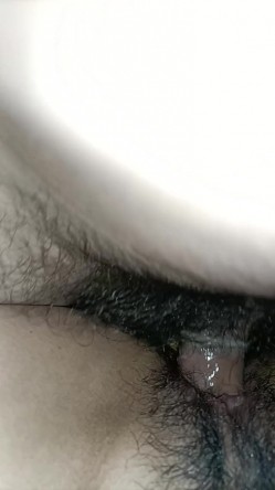 预览图12