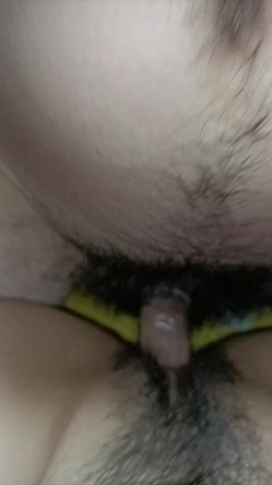 预览图14