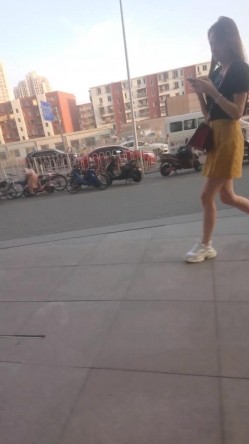 预览图13