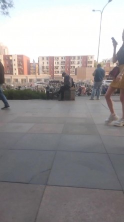 预览图14