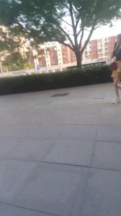 预览图15
