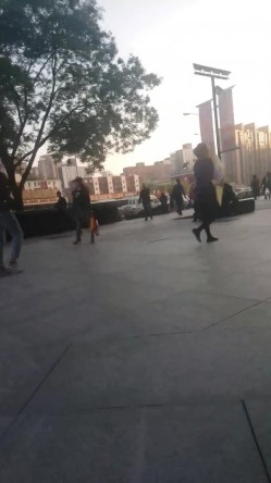 预览图16