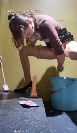 预览图4