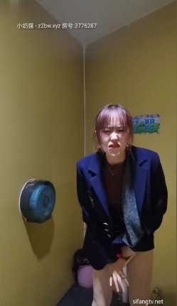 预览图13