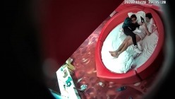 预览图4